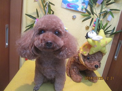 ファイル 7737-2.jpg