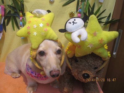 ファイル 7738-1.jpg