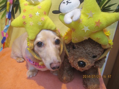 ファイル 7738-2.jpg