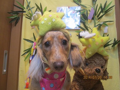 ファイル 7739-2.jpg