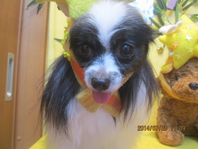 ファイル 7741-1.jpg