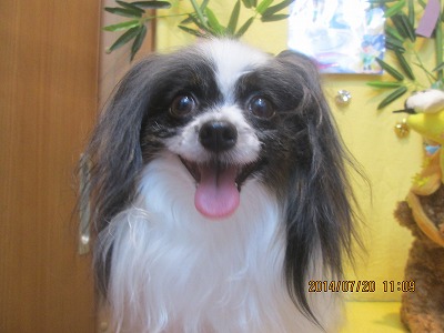 ファイル 7741-2.jpg