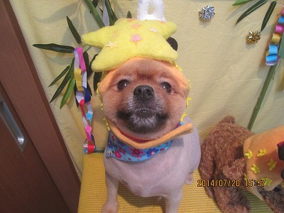 ファイル 7743-1.jpg