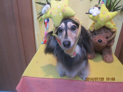 ファイル 7745-2.jpg