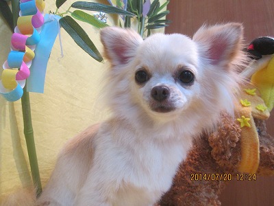 ファイル 7746-2.jpg