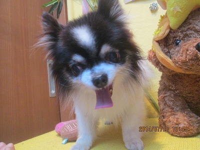 ファイル 7747-2.jpg