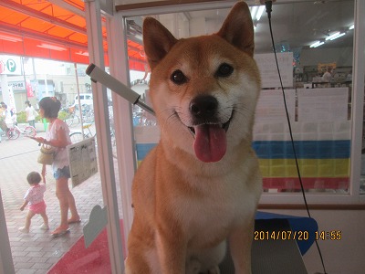 ファイル 7748-1.jpg