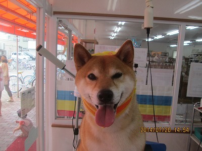 ファイル 7748-2.jpg