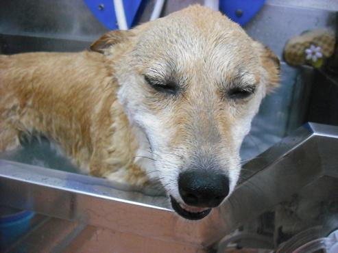 ファイル 775-2.jpg