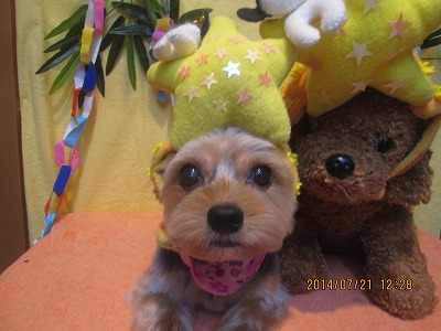 ファイル 7750-2.jpg