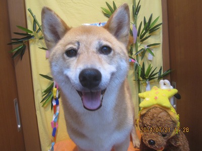 ファイル 7752-2.jpg