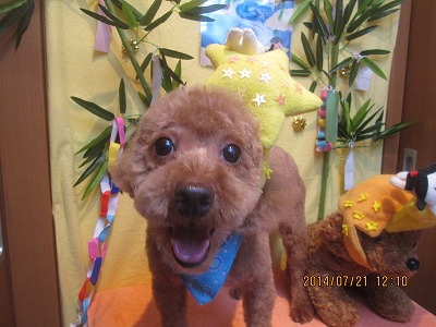 ファイル 7753-1.jpg