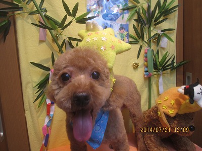 ファイル 7753-2.jpg