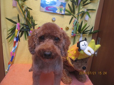 ファイル 7754-2.jpg