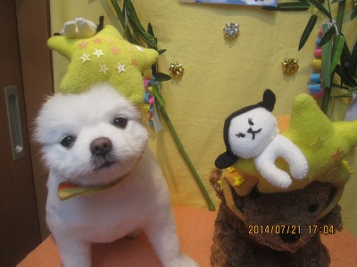 ファイル 7755-1.jpg