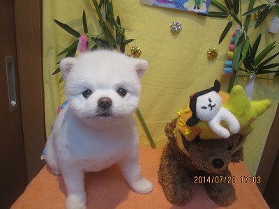 ファイル 7755-2.jpg