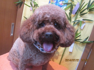 ファイル 7757-1.jpg