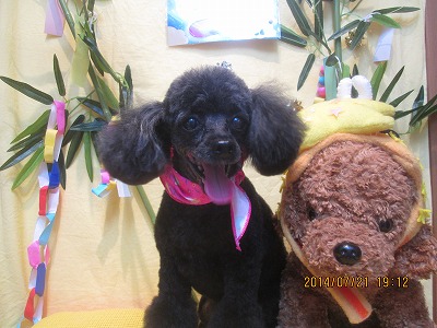 ファイル 7758-2.jpg