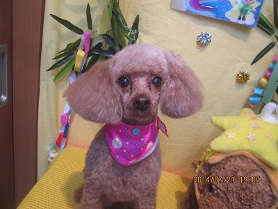 ファイル 7759-2.jpg