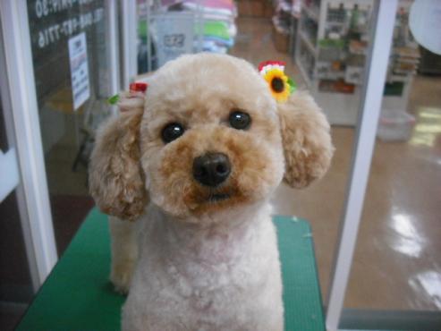 ファイル 776-1.jpg