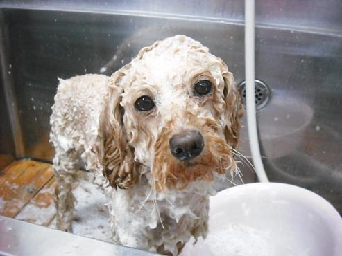 ファイル 776-2.jpg