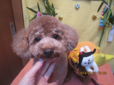 ファイル 7760-2.jpg