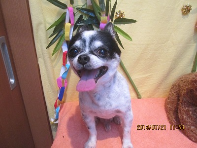 ファイル 7761-2.jpg