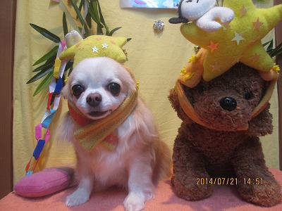 ファイル 7763-1.jpg