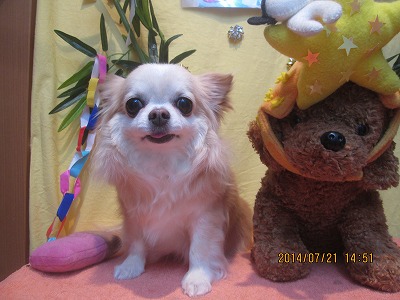 ファイル 7763-2.jpg