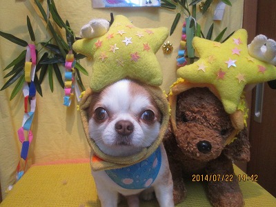 ファイル 7765-2.jpg