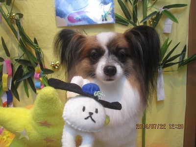 ファイル 7767-2.jpg