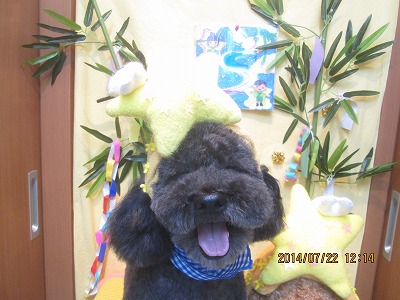 ファイル 7768-1.jpg