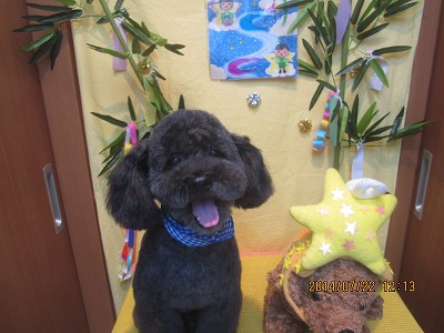 ファイル 7768-2.jpg