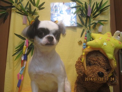 ファイル 7769-2.jpg