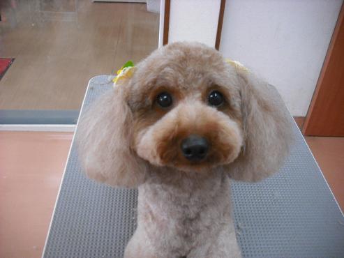 ファイル 777-1.jpg