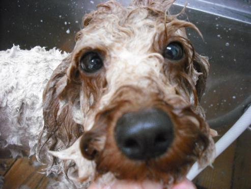 ファイル 777-2.jpg