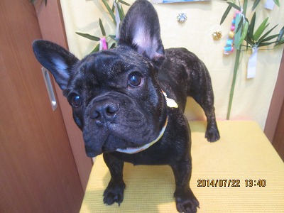 ファイル 7770-2.jpg