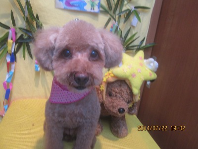 ファイル 7771-2.jpg