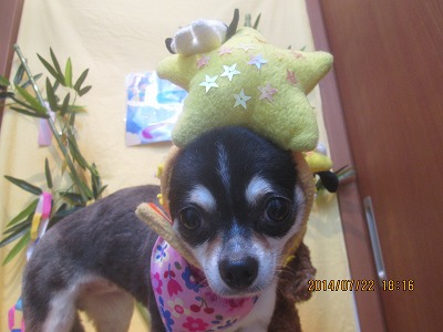 ファイル 7772-1.jpg