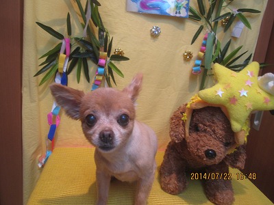 ファイル 7773-2.jpg