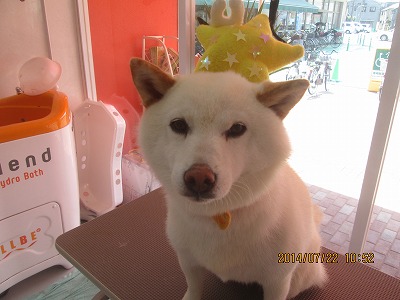 ファイル 7775-1.jpg