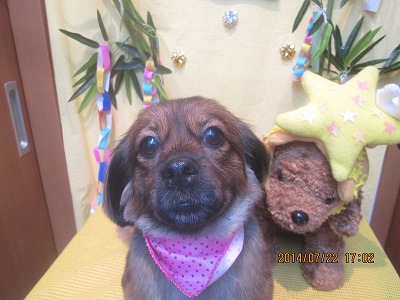 ファイル 7776-2.jpg