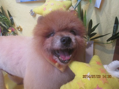 ファイル 7778-1.jpg