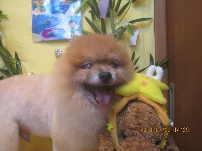 ファイル 7778-2.jpg