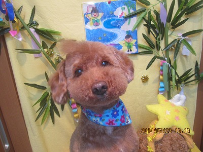 ファイル 7779-2.jpg