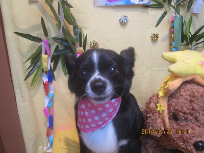 ファイル 7781-2.jpg