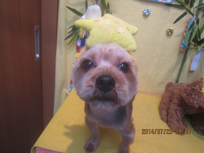 ファイル 7782-2.jpg