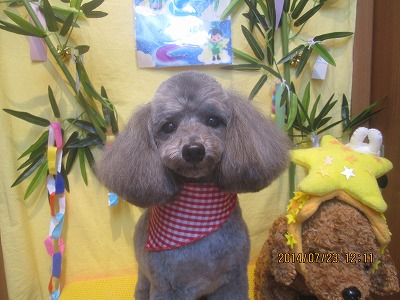 ファイル 7783-2.jpg