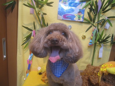 ファイル 7784-2.jpg