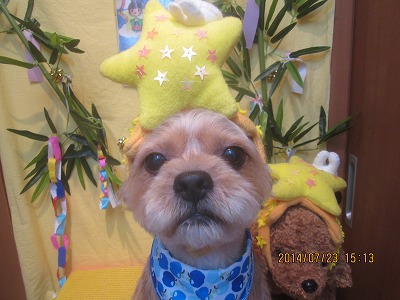 ファイル 7785-2.jpg